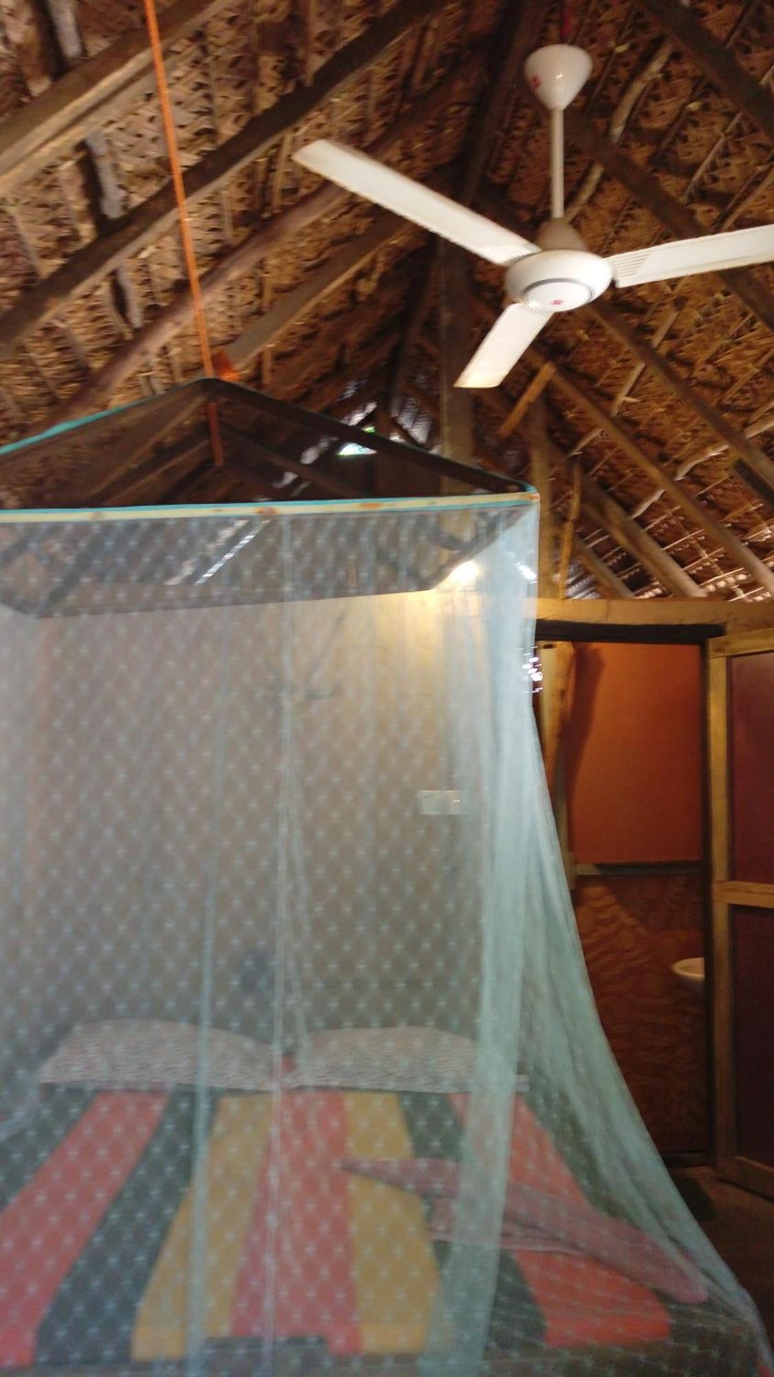 Beach Hut Arugam Bay Room photo